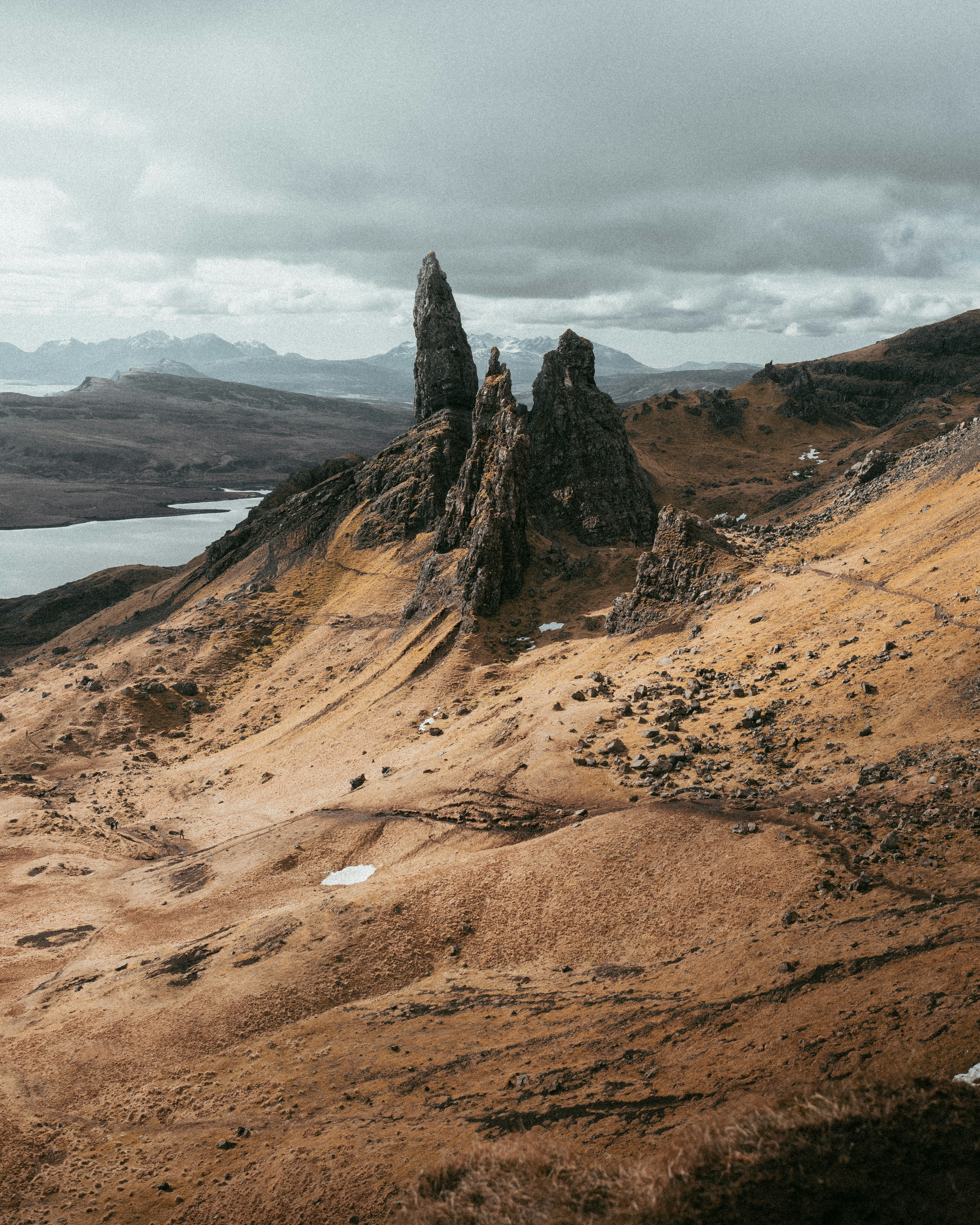 Photo by samuelcouto