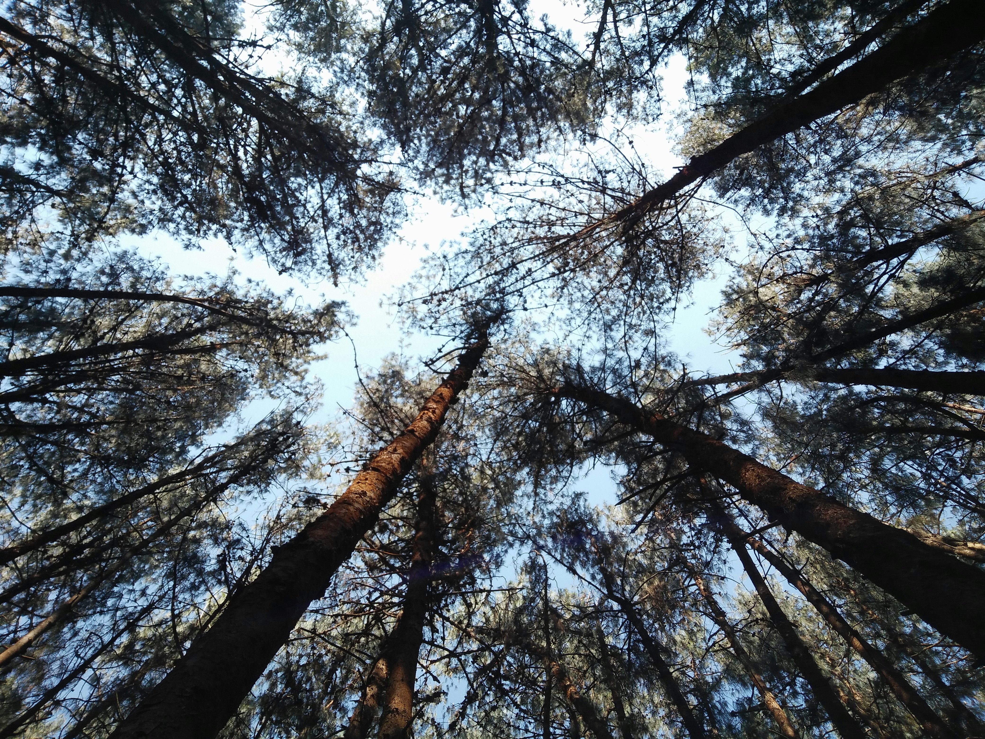 Photo by madhusmita_dutta