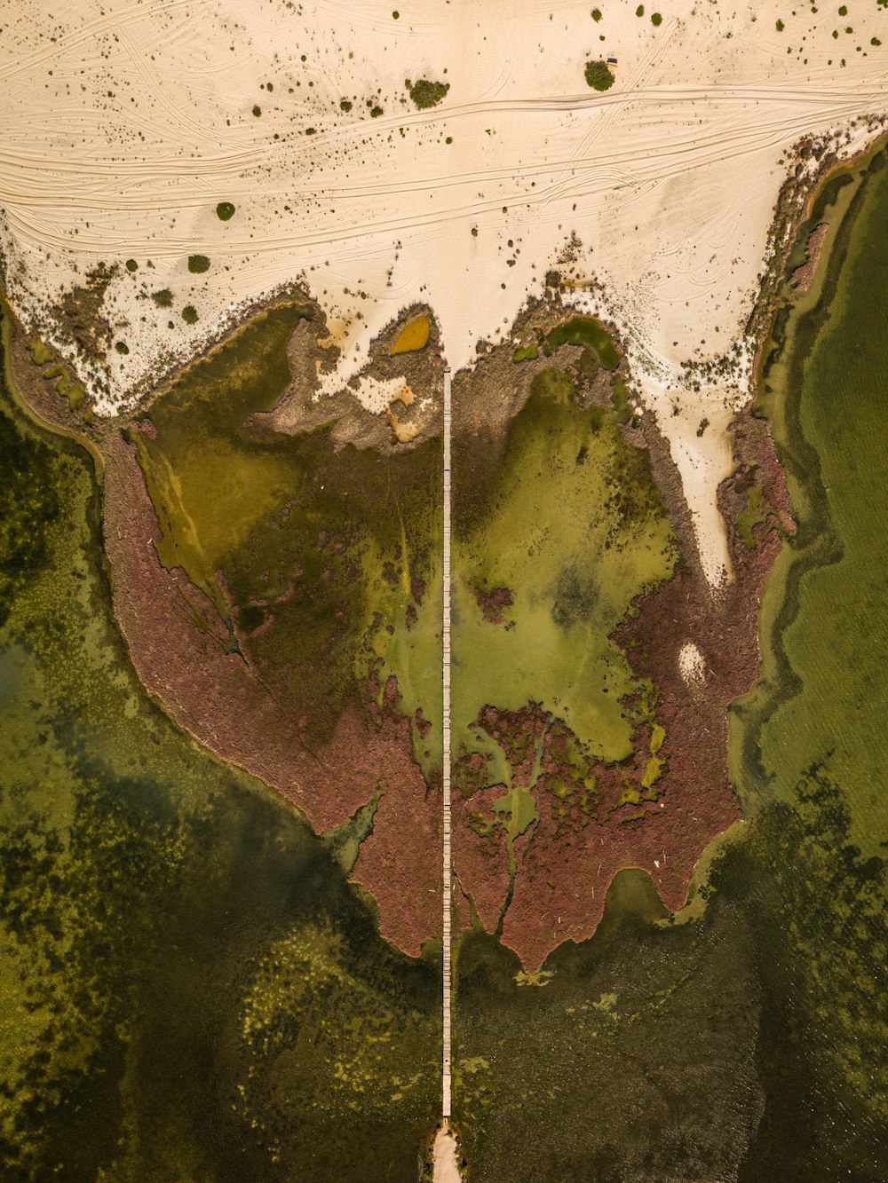 aerial view of green trees and green grass field