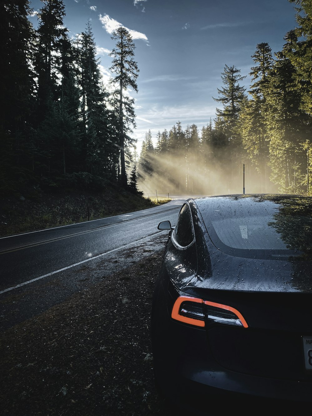 black car on road between trees during daytime