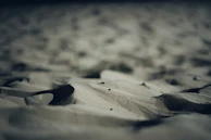 Soft-focus image of natural textures blending sand and paper tones with charcoal shadows.
