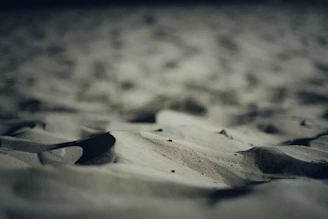 Soft-focus image of natural textures blending sand and paper tones with charcoal shadows.