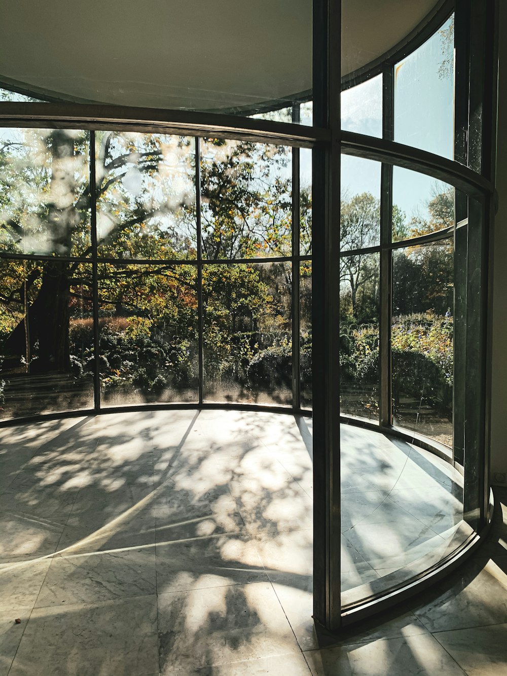 green trees and plants in front of glass window