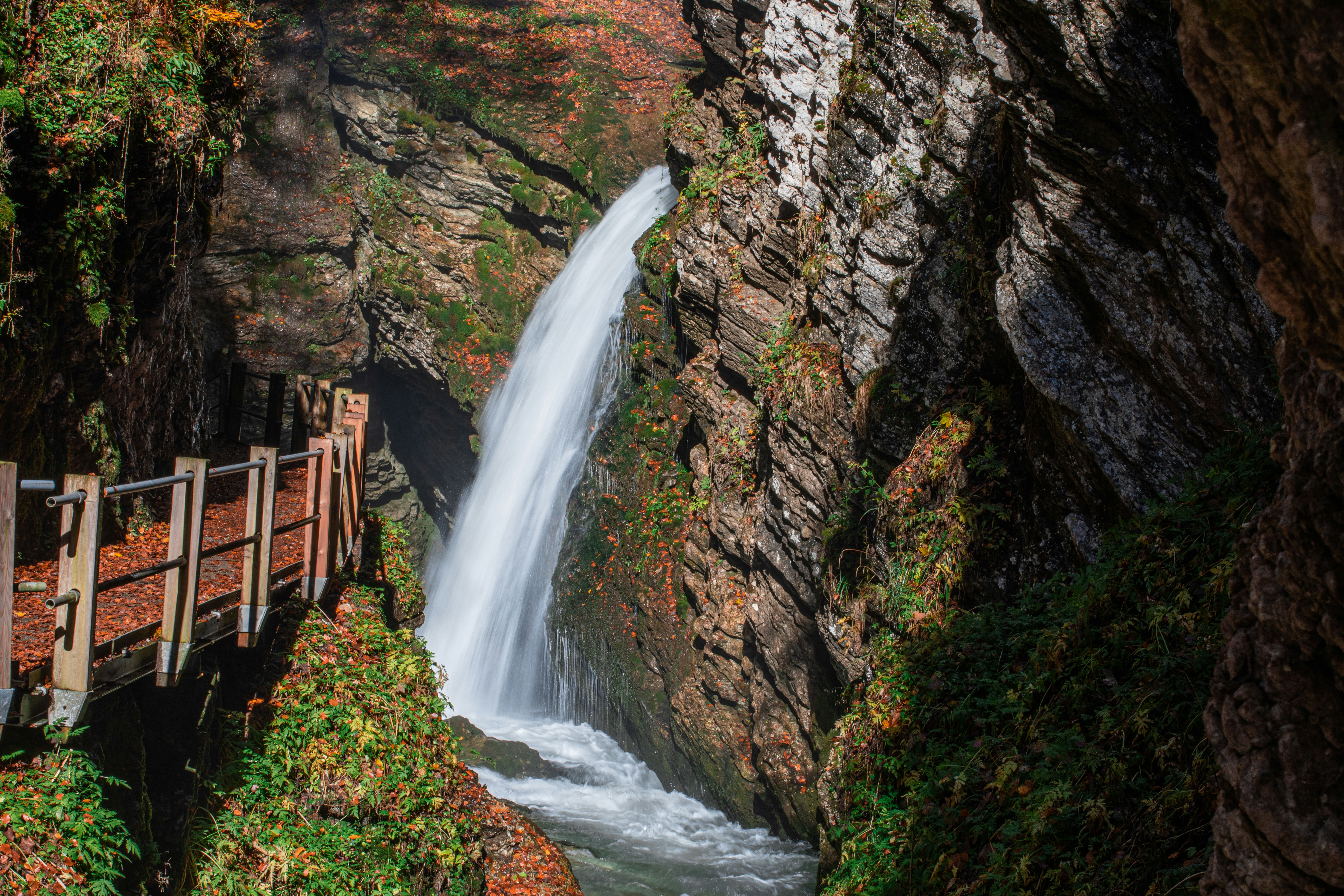 Photo by janoschphotos