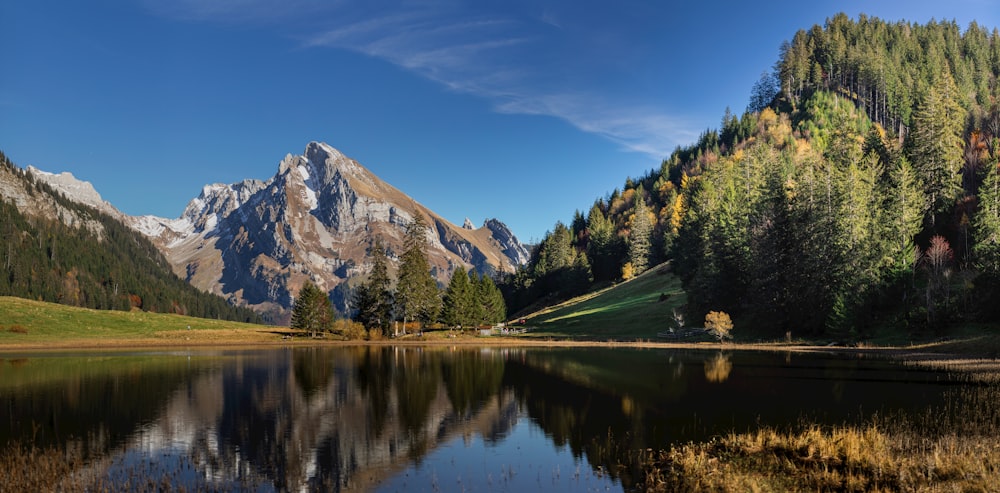 green trees near lake and mountain under blue sky during daytime