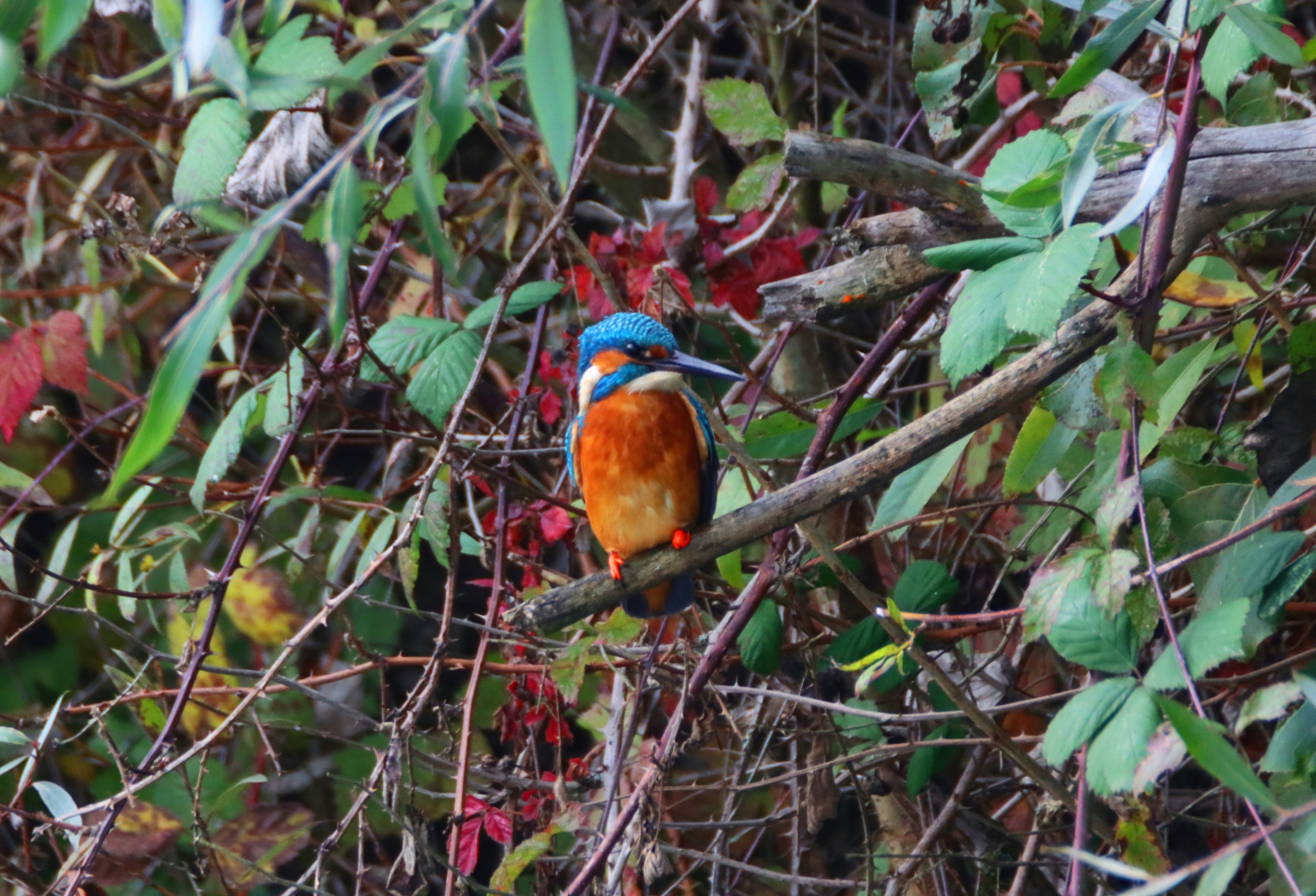 Photo by photasticlab