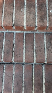 A close-up view of a brick pavement with multiple rectangular red bricks aligned in rows. The gaps between the bricks are filled with a light gray mortar or grout.