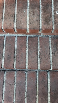 A close-up view of a brick pavement with multiple rectangular red bricks aligned in rows. The gaps between the bricks are filled with a light gray mortar or grout.