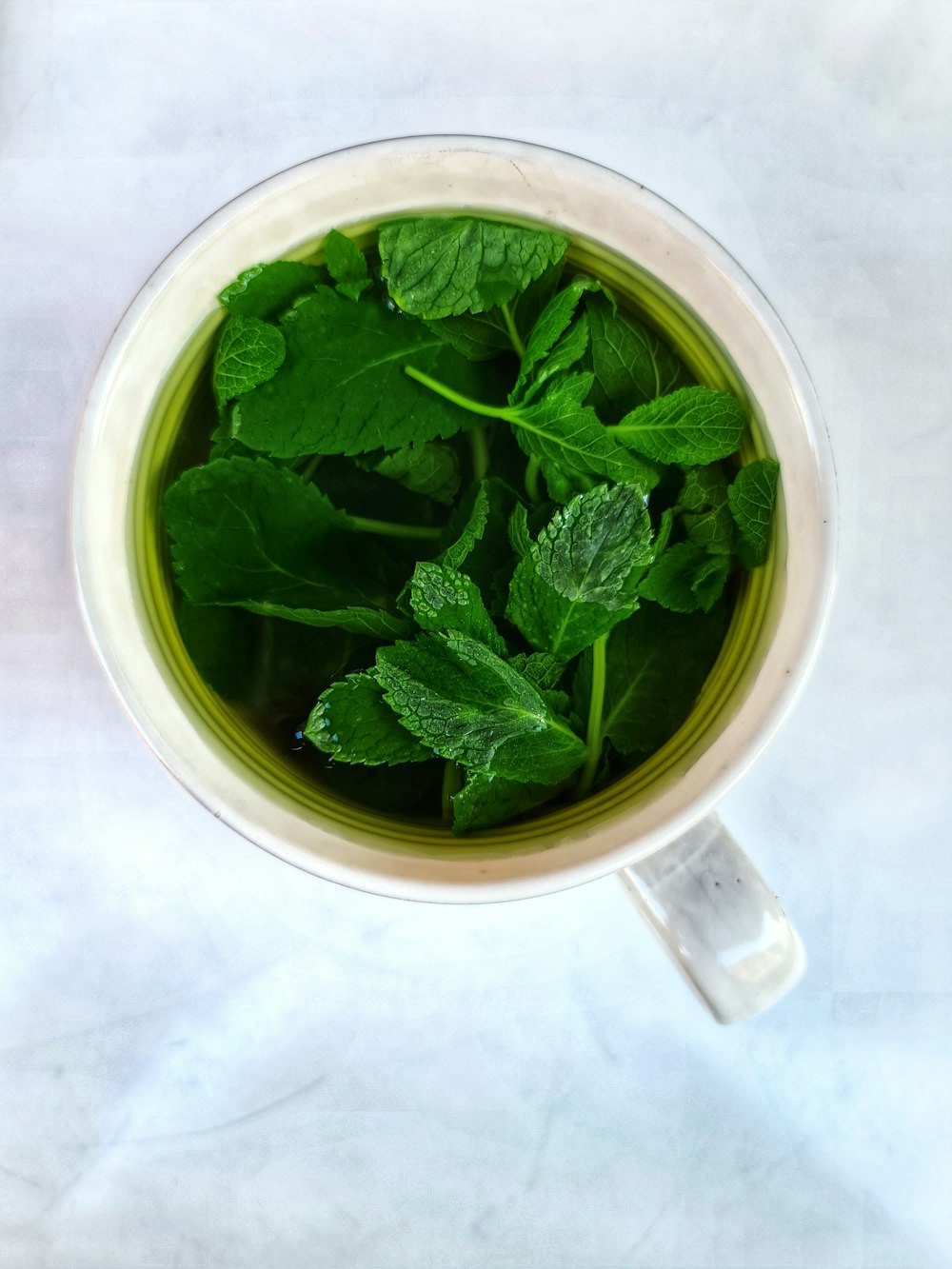 green leaf in white ceramic mug