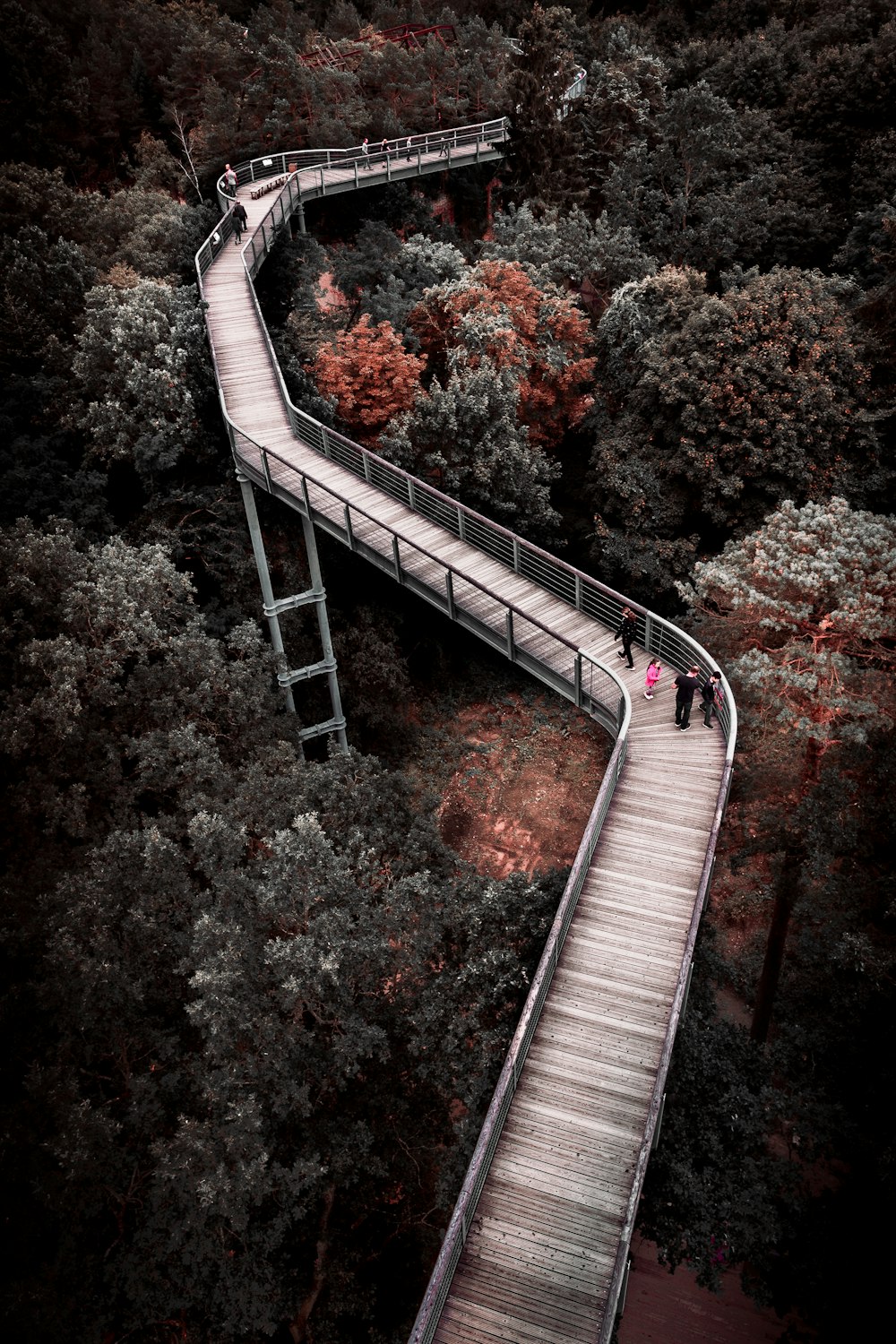 aerial view of gray concrete bridge surrounded by trees