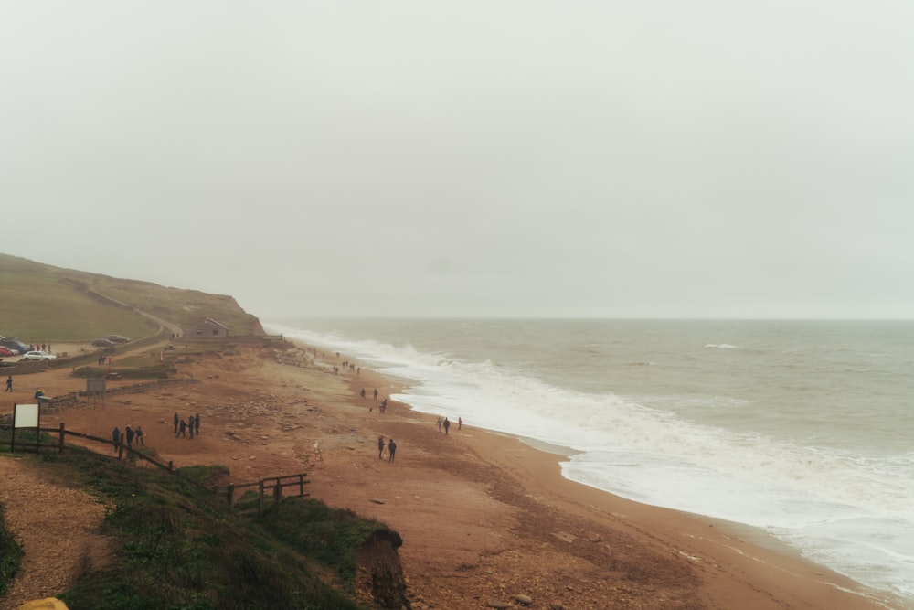 Plage de sable brun pendant la journée