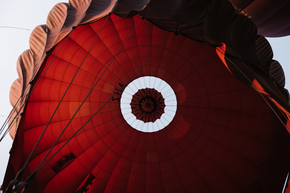 red and white umbrella during daytime