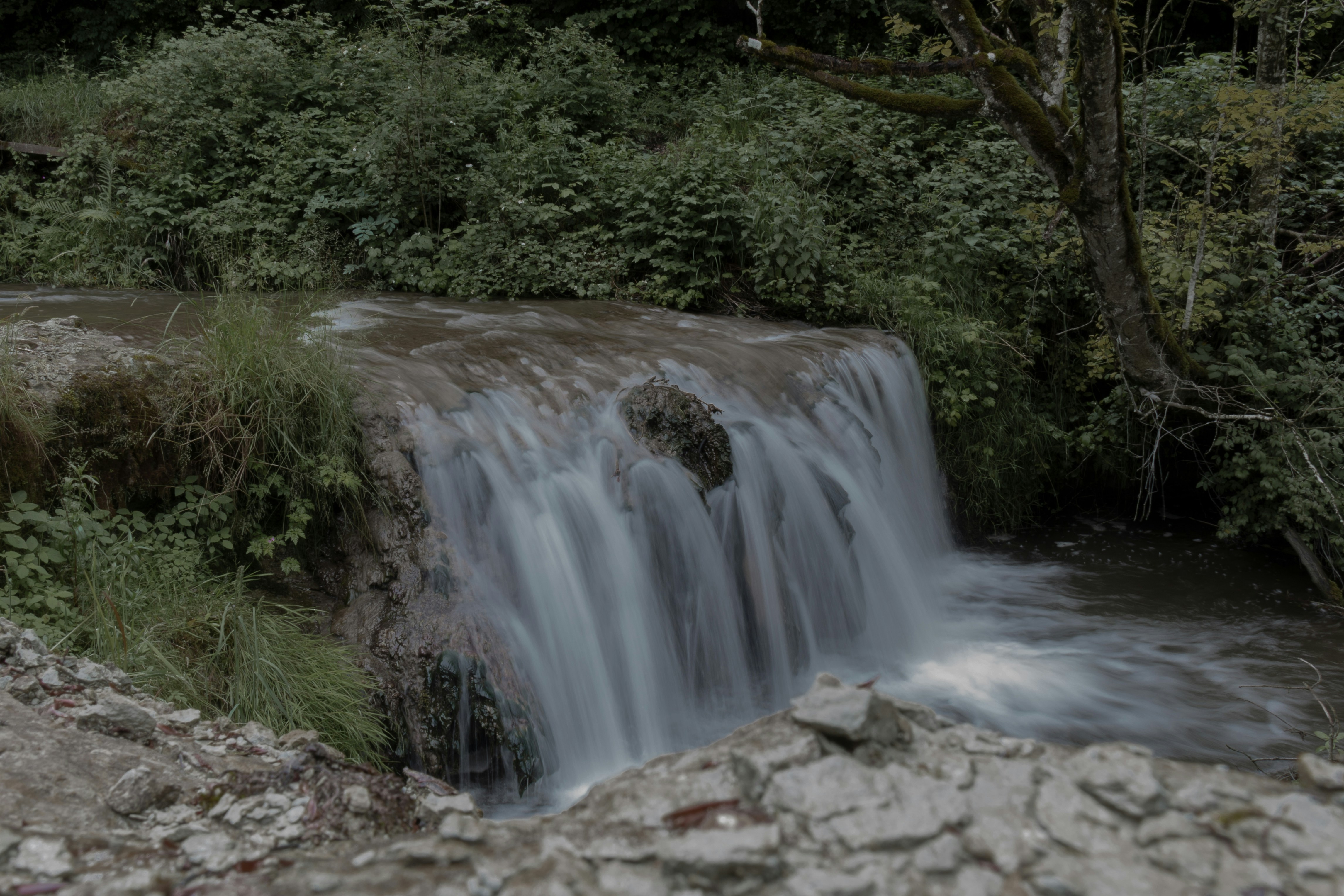 water falls in the middle of green trees
