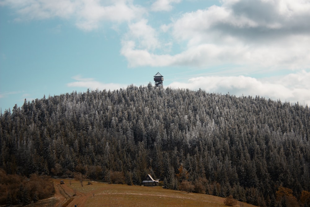 Maison blanche et noire sur un champ brun entouré d’arbres verts sous le ciel bleu pendant la journée