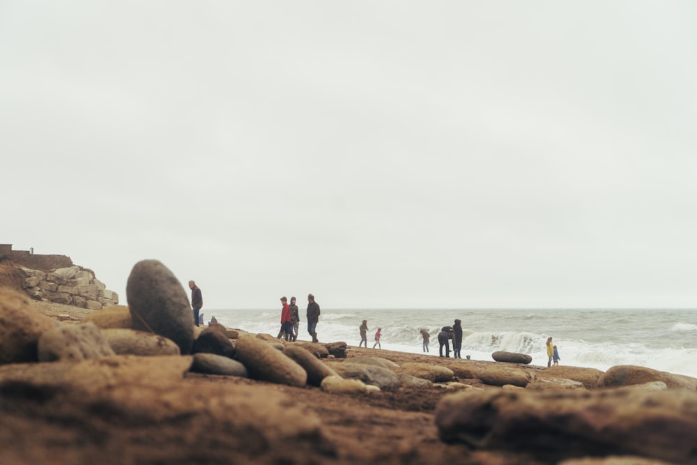 people on beach during daytime