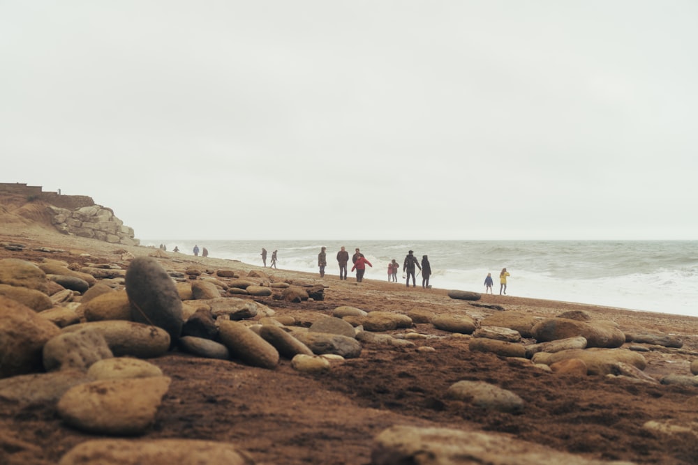 people on beach during daytime