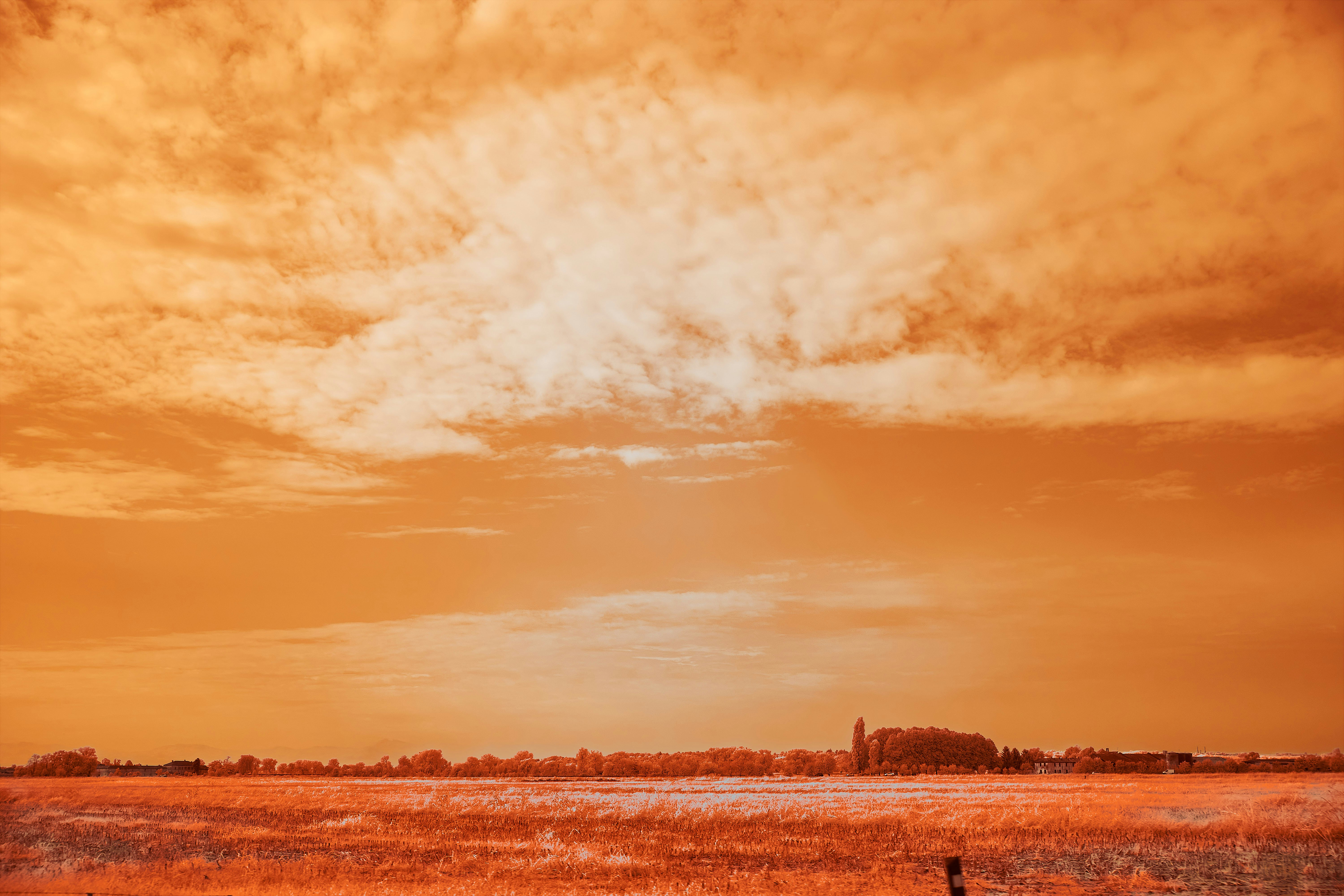 Photo by wolfgang_hasselmann