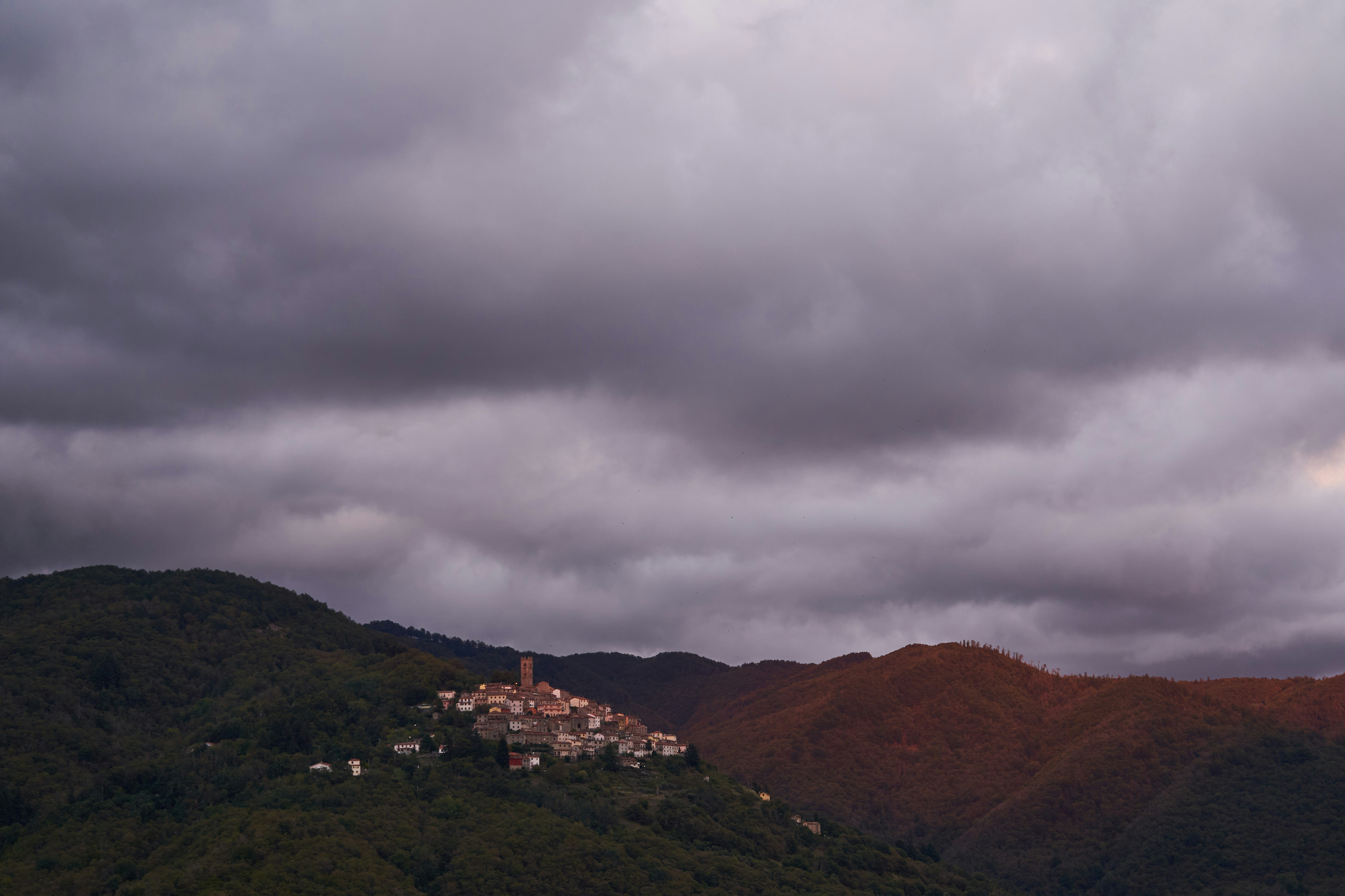 Photo by wolfgang_hasselmann