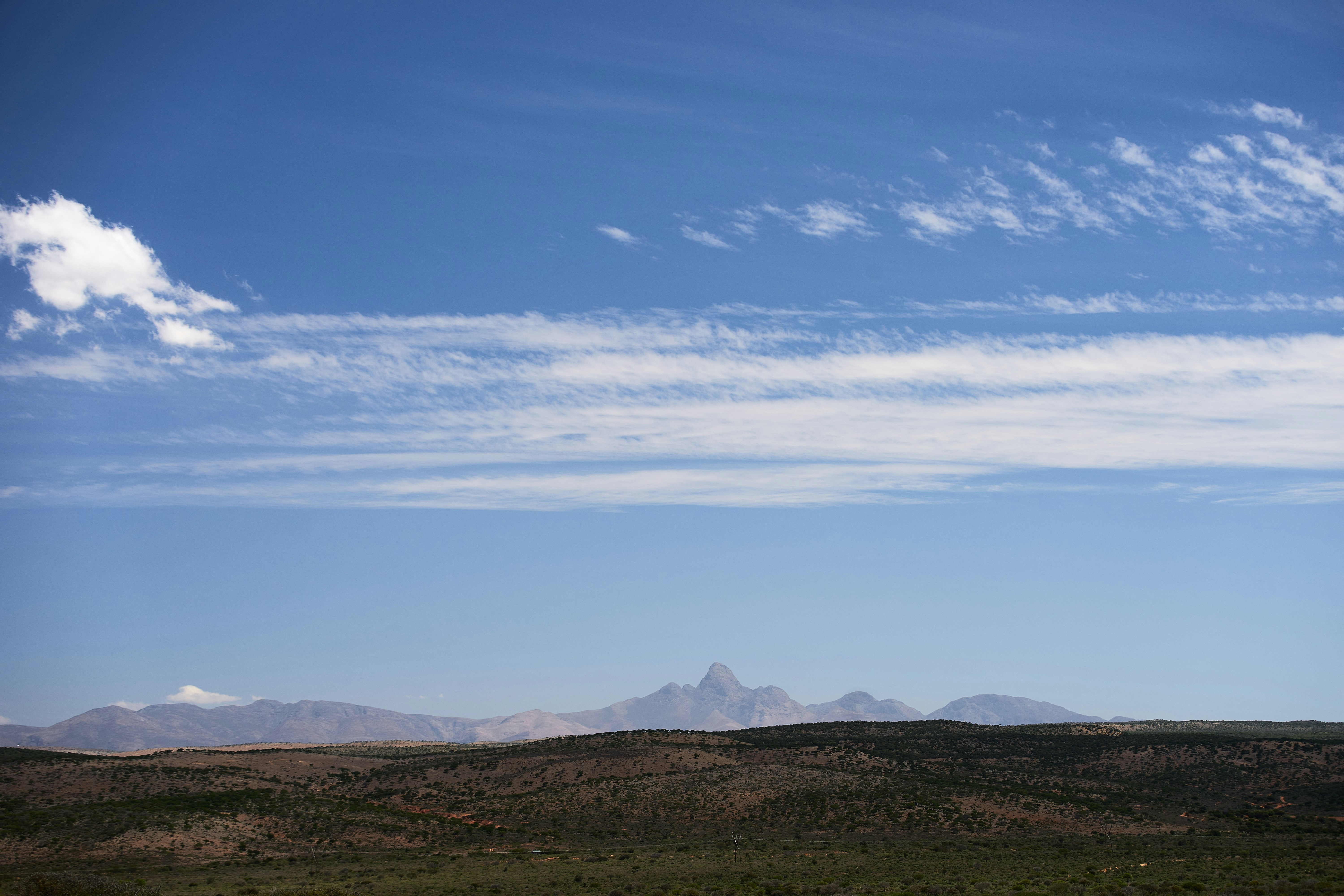 Photo by wolfgang_hasselmann