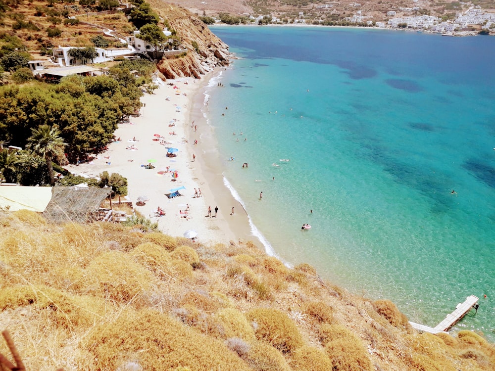 people on beach during daytime