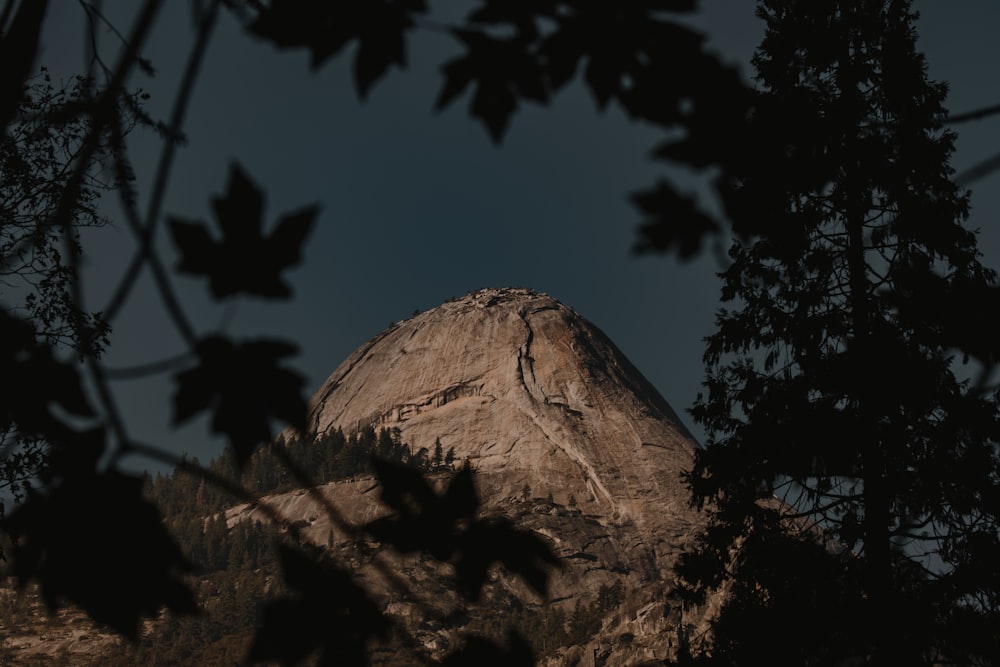 silhouette of trees and mountain during night time