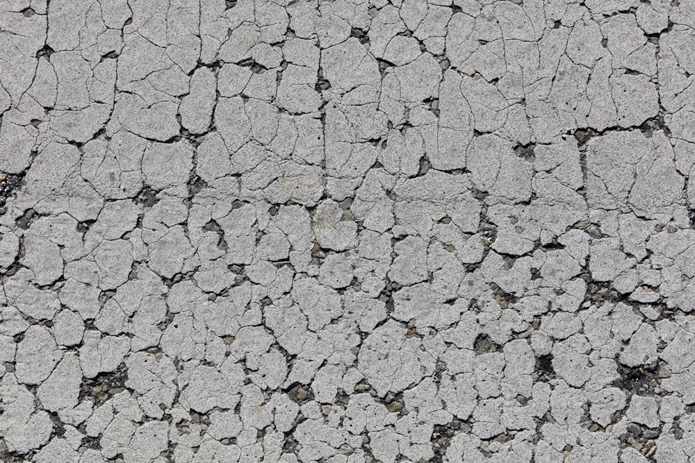 gray and black concrete pavement