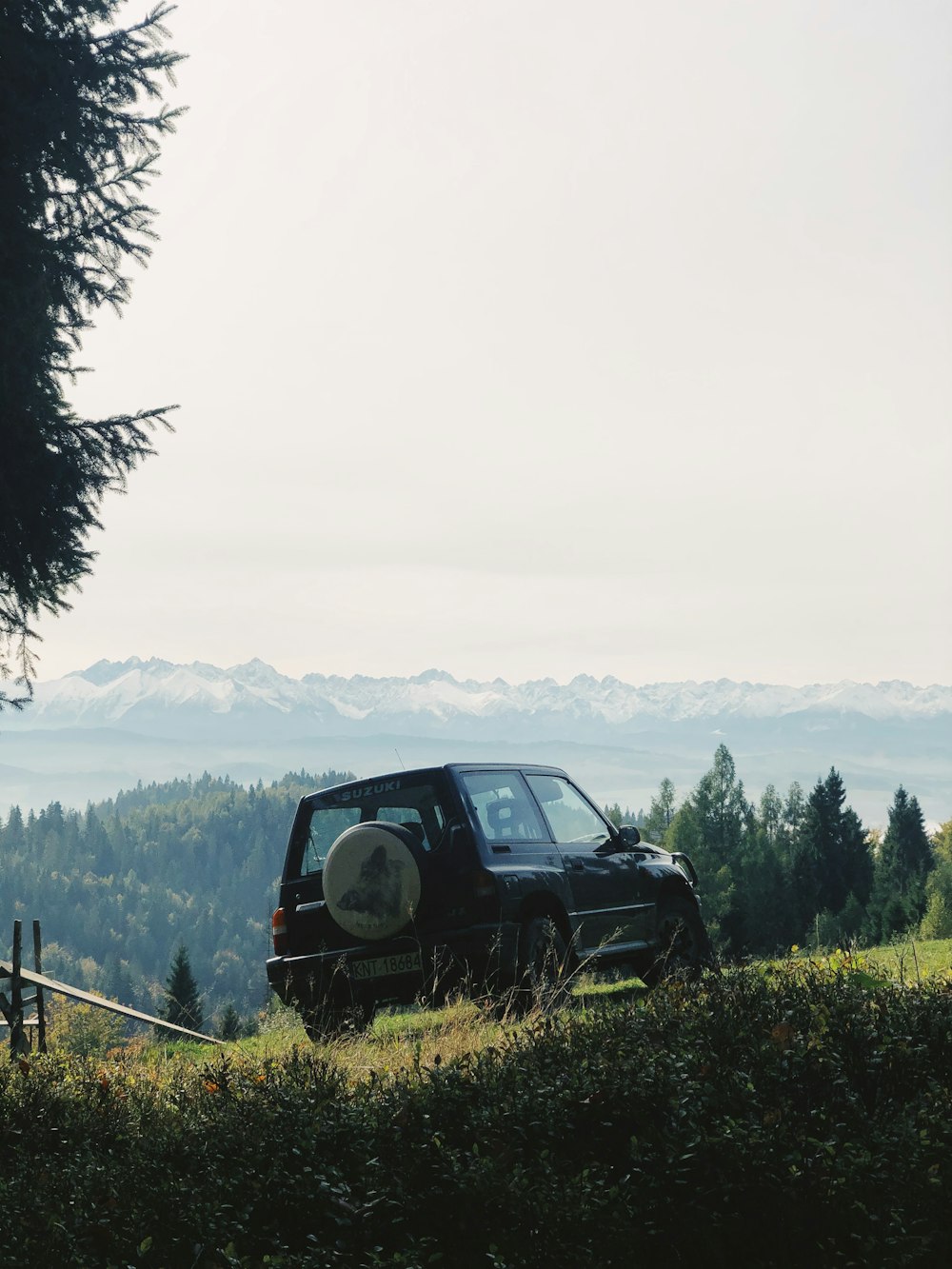 black suv on green grass field near green trees and mountains during daytime