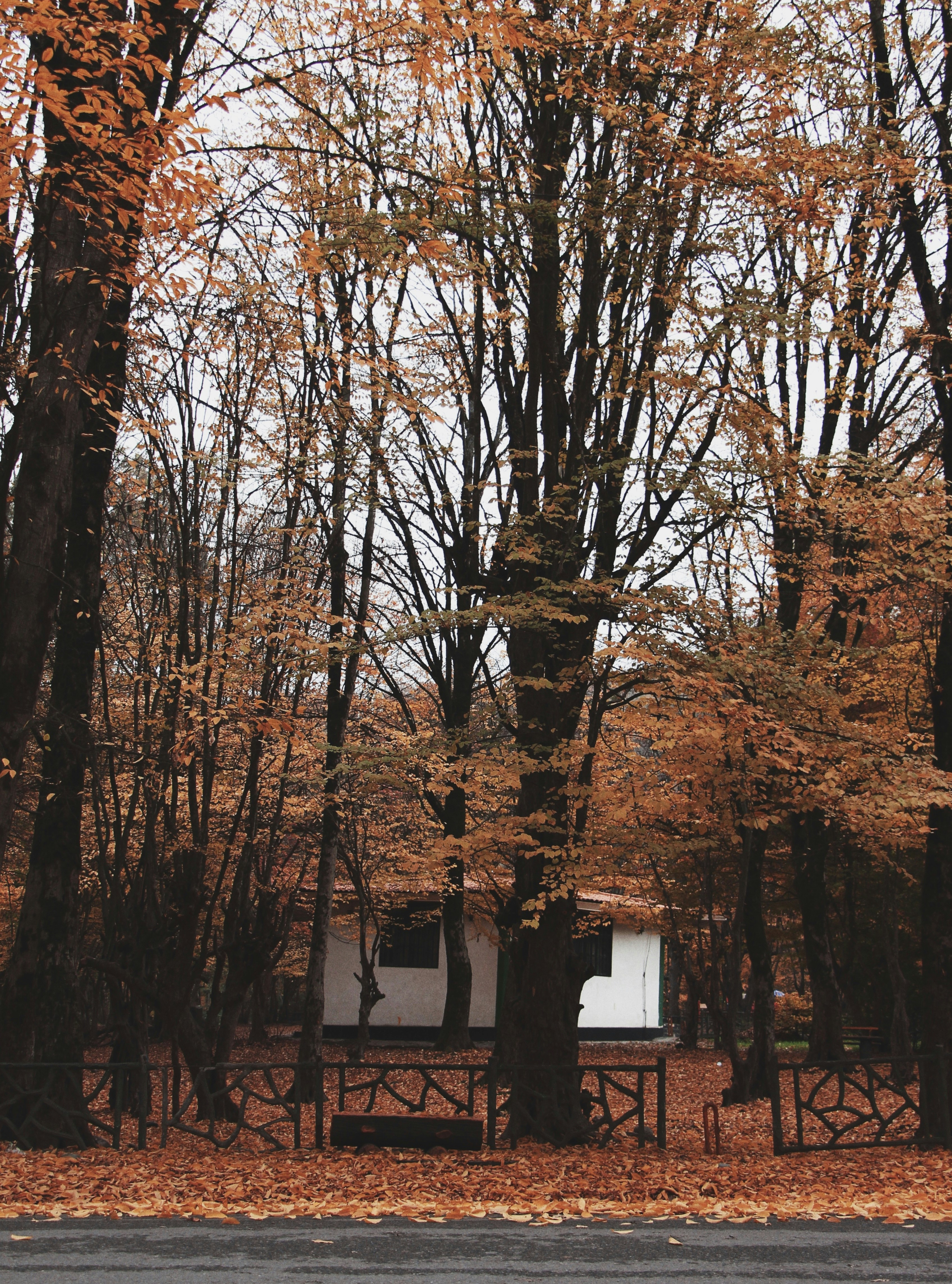 Photo by elnazasadi
