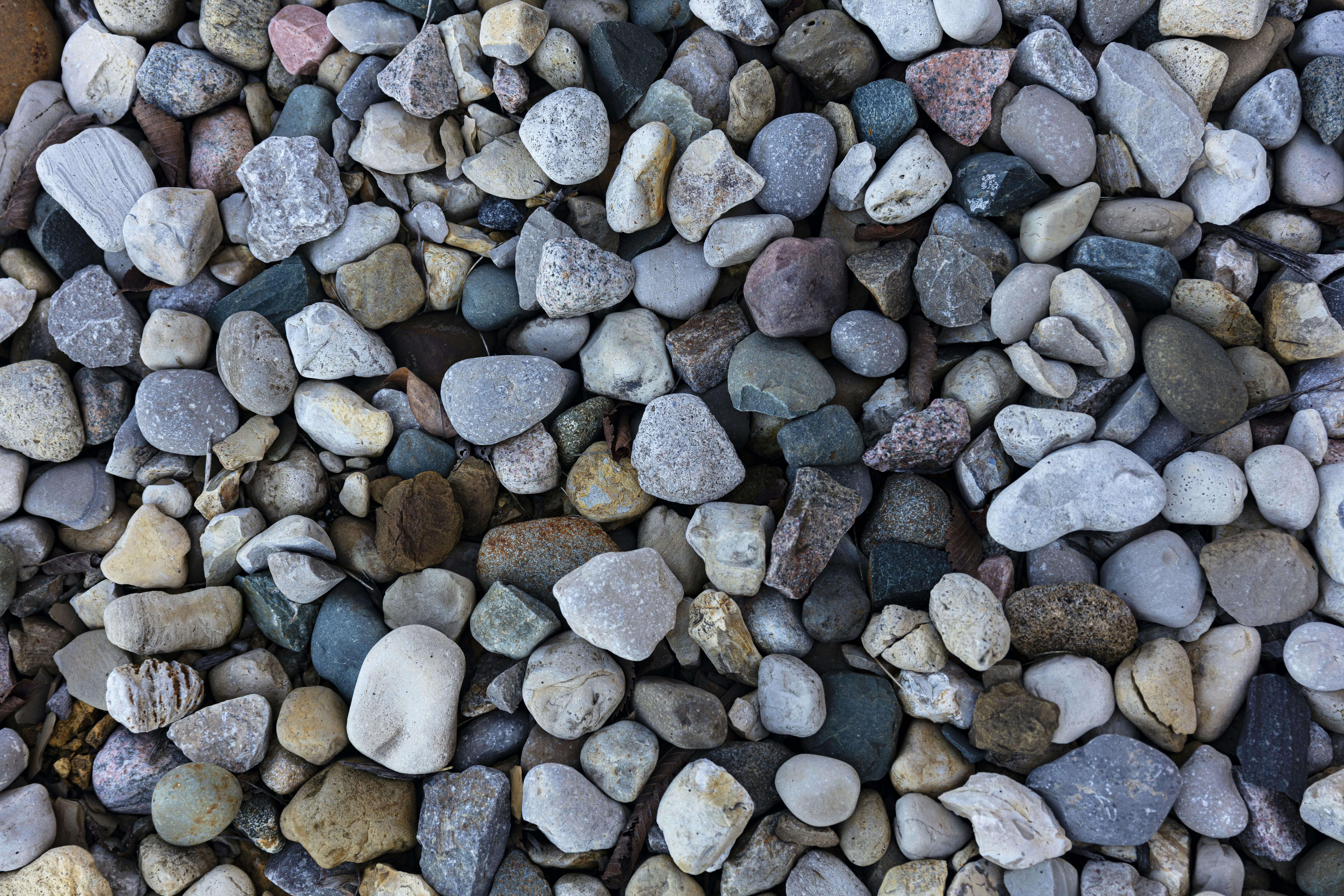 gray and brown stones on the ground