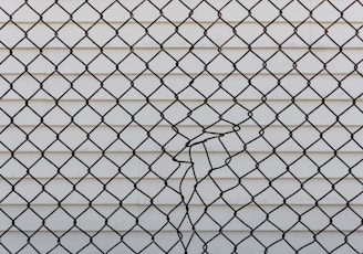 black metal chain link fence