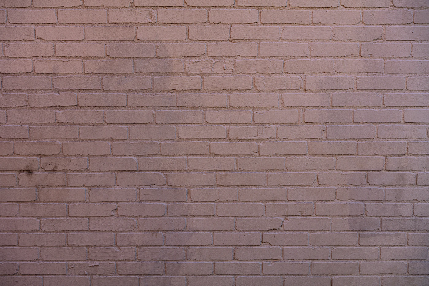 Brick Restoration, Islington — after