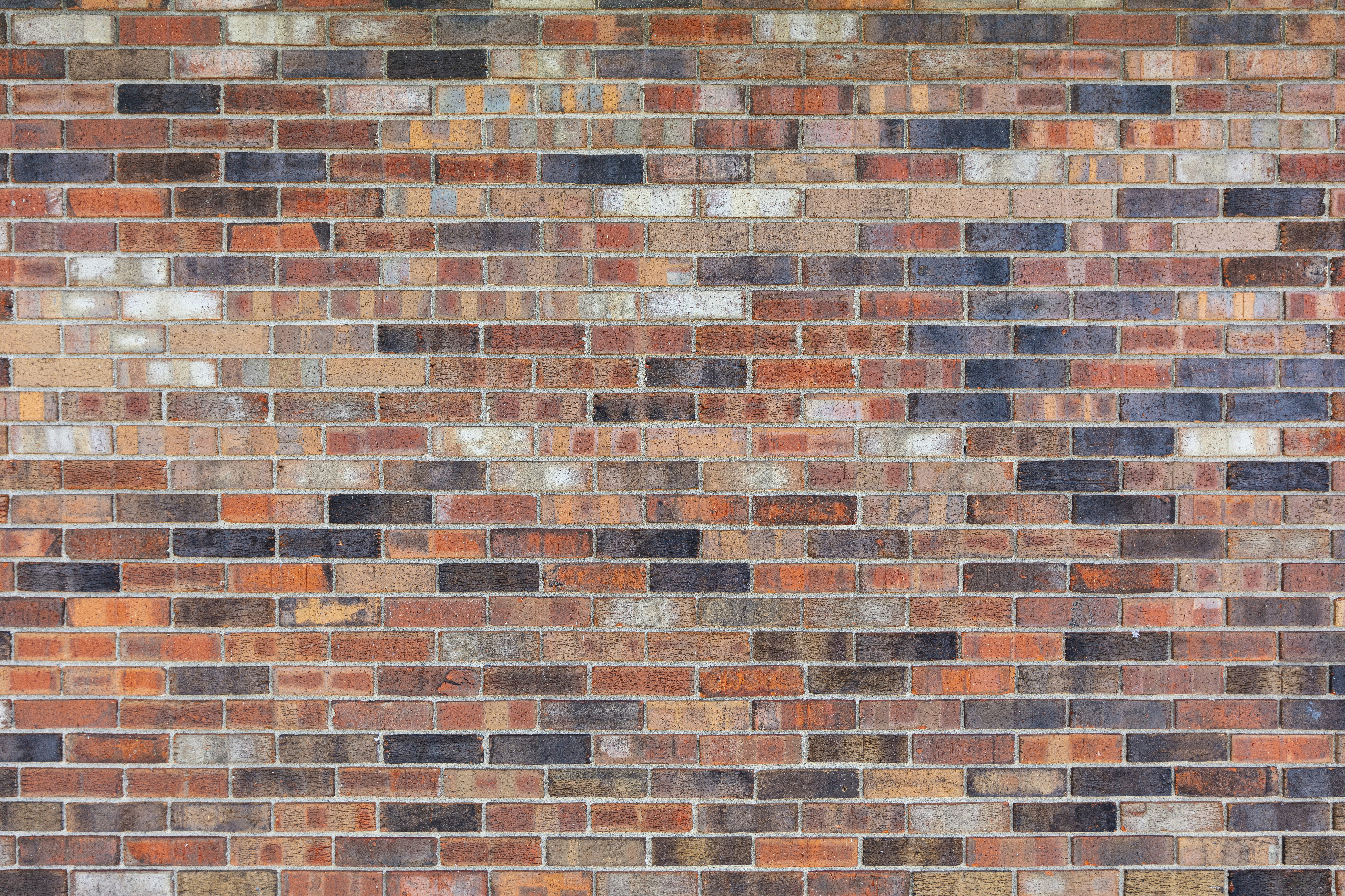 Campaign Gist: Building a Wall