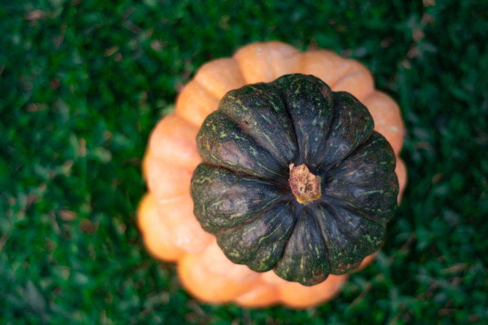 green and yellow pumpkin on green grass