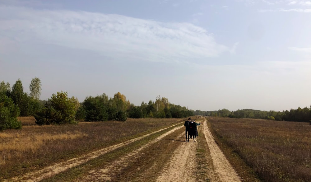 black cow on brown field under white sky during daytime