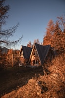 Cozy wooden cabin nestled among tall Ardennes forest trees at sunset.