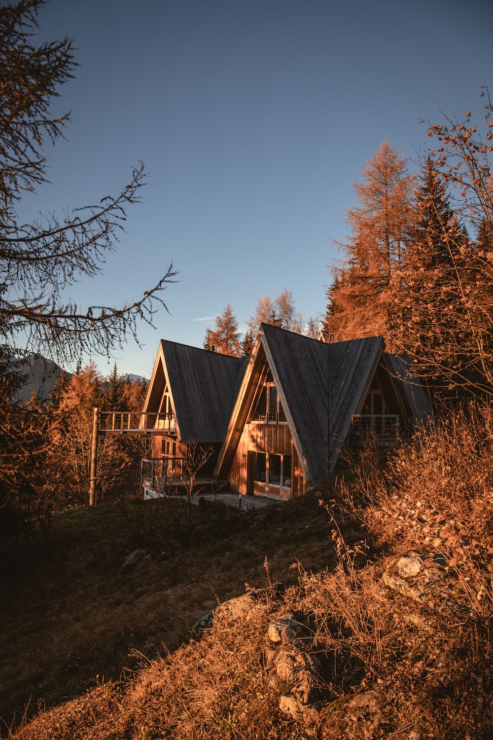 maison en bois brun près d’arbres bruns pendant la journée