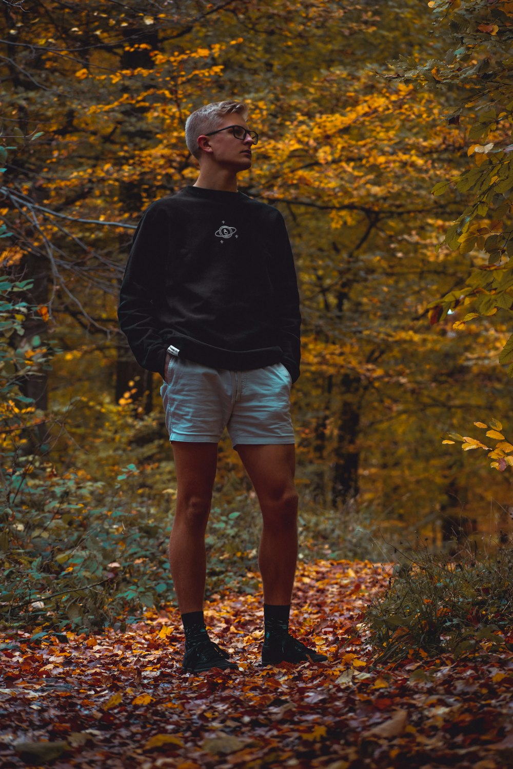 man in black hoodie and gray shorts standing on brown leaves covered ground