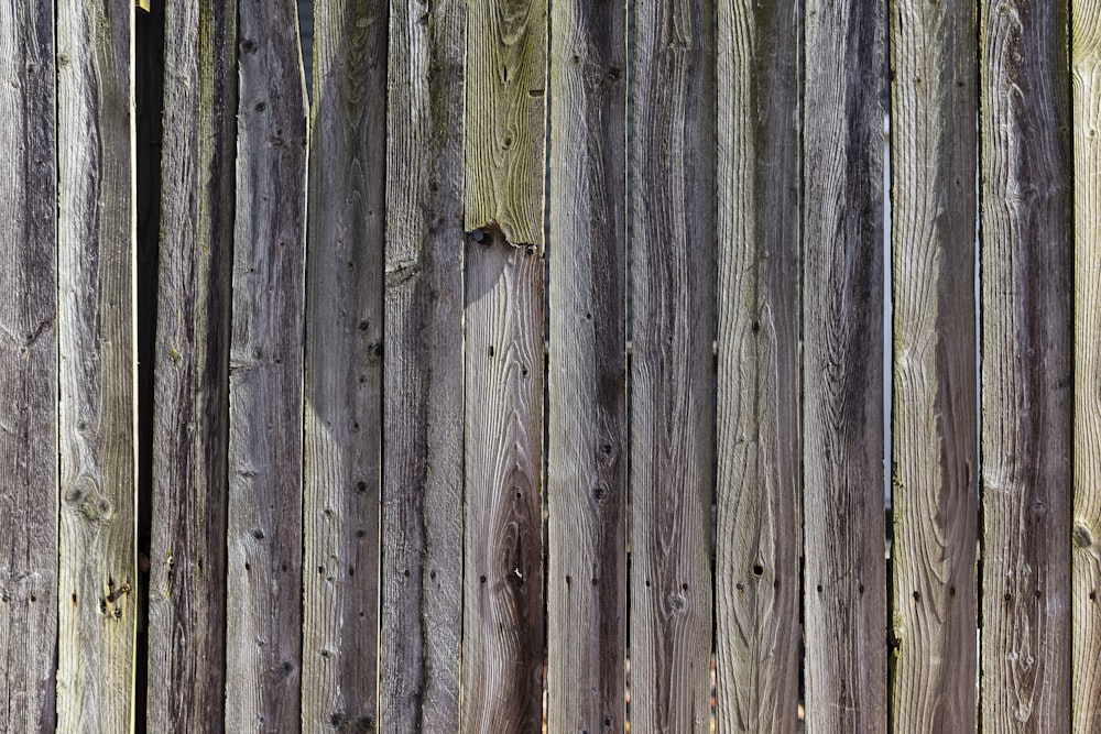 白いペンキを塗る灰色の木の塀