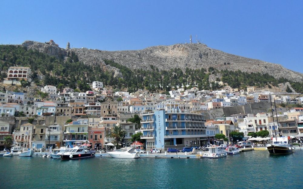 white and brown concrete buildings near body of water during daytime