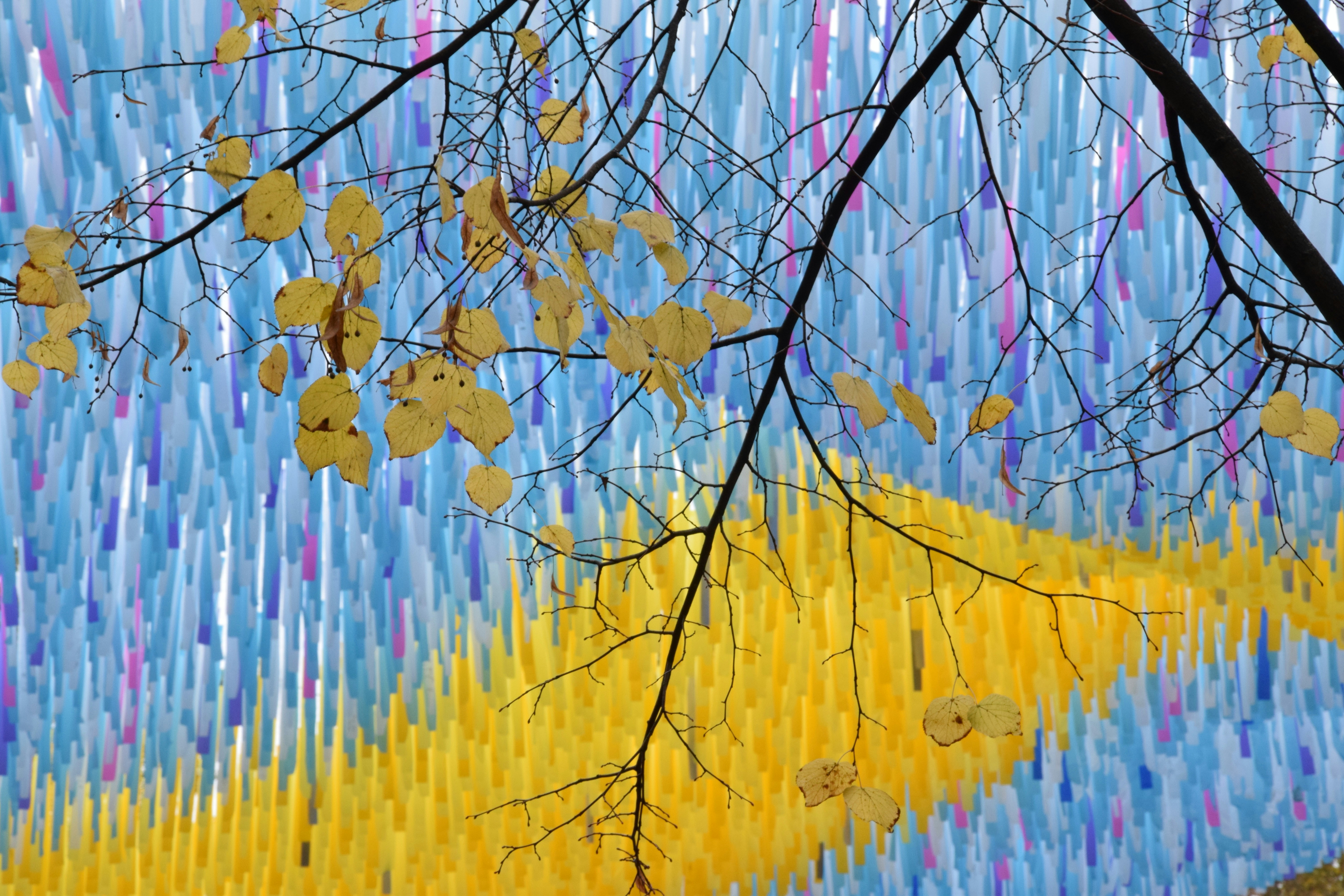 Photo by ghazisaeedi