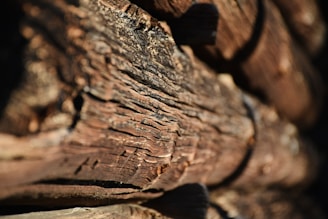 Close-up of netted firewood bundles showing natural wood texture.