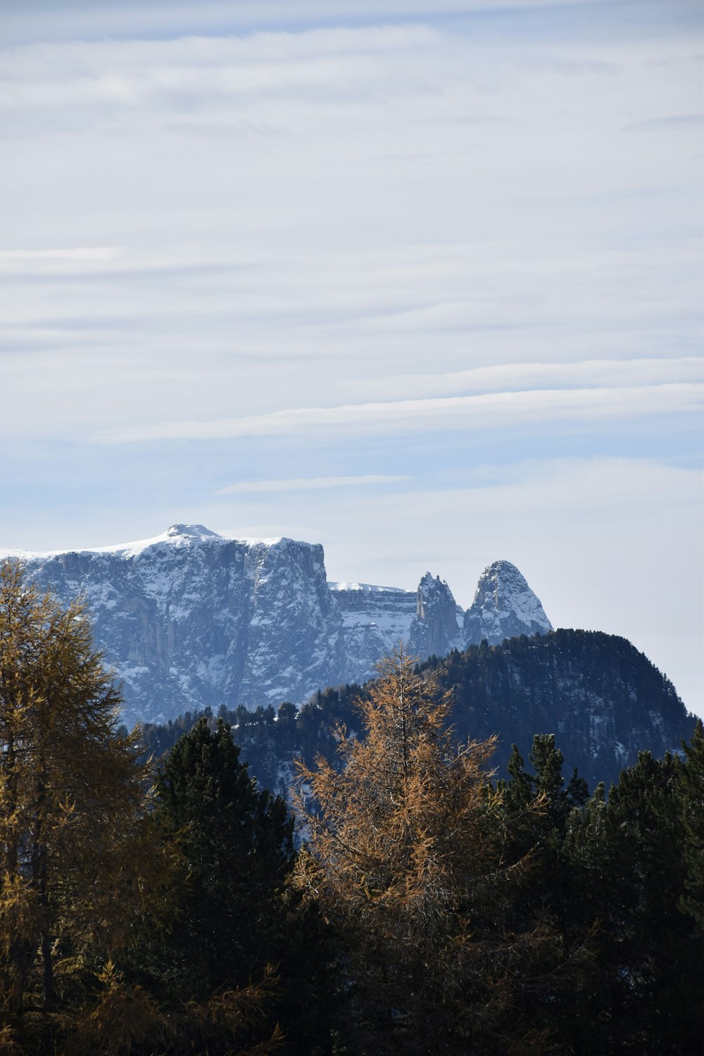 green and brown trees near mountain during daytime