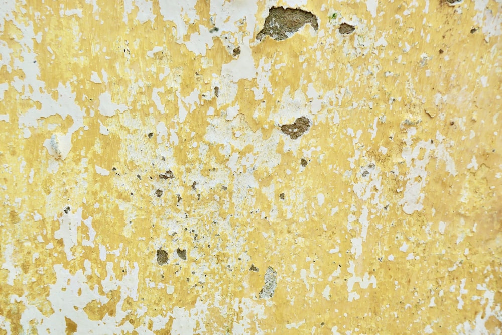 黄色と白に塗られた壁