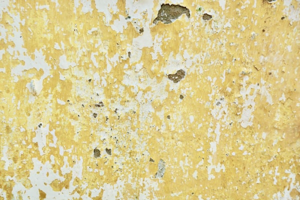 Freshly skimmed and finished wall