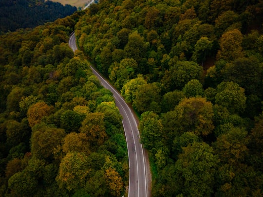 aerial view of road in the middle of green trees in Stepanavan Armenia