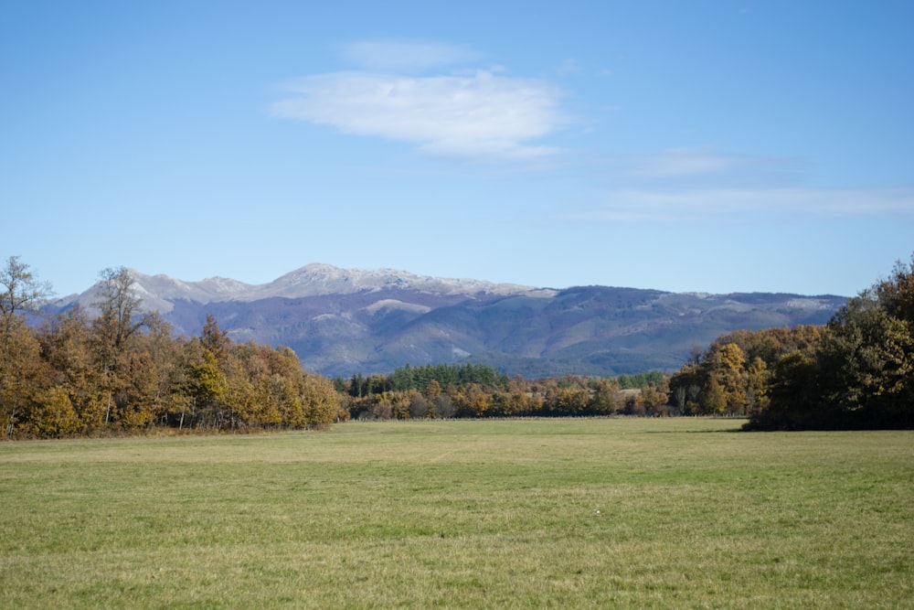 green grass field near green trees and mountains during daytime