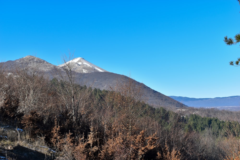 green and brown grass field near mountain under blue sky during daytime