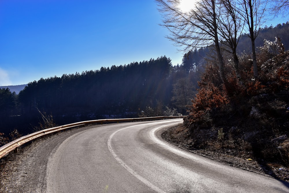 gray concrete road between green trees under blue sky during daytime