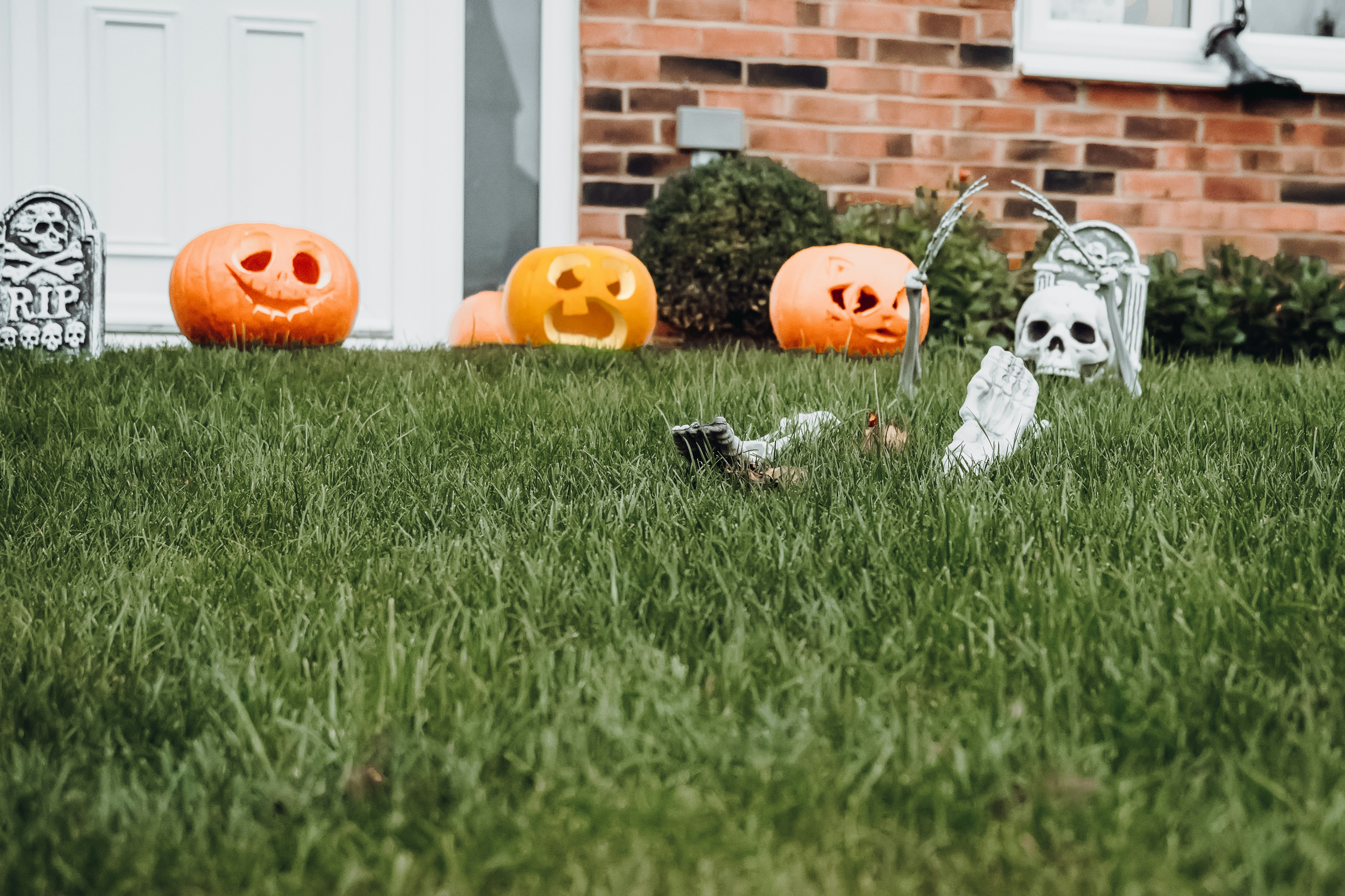 Photo by bobby_shark_attack