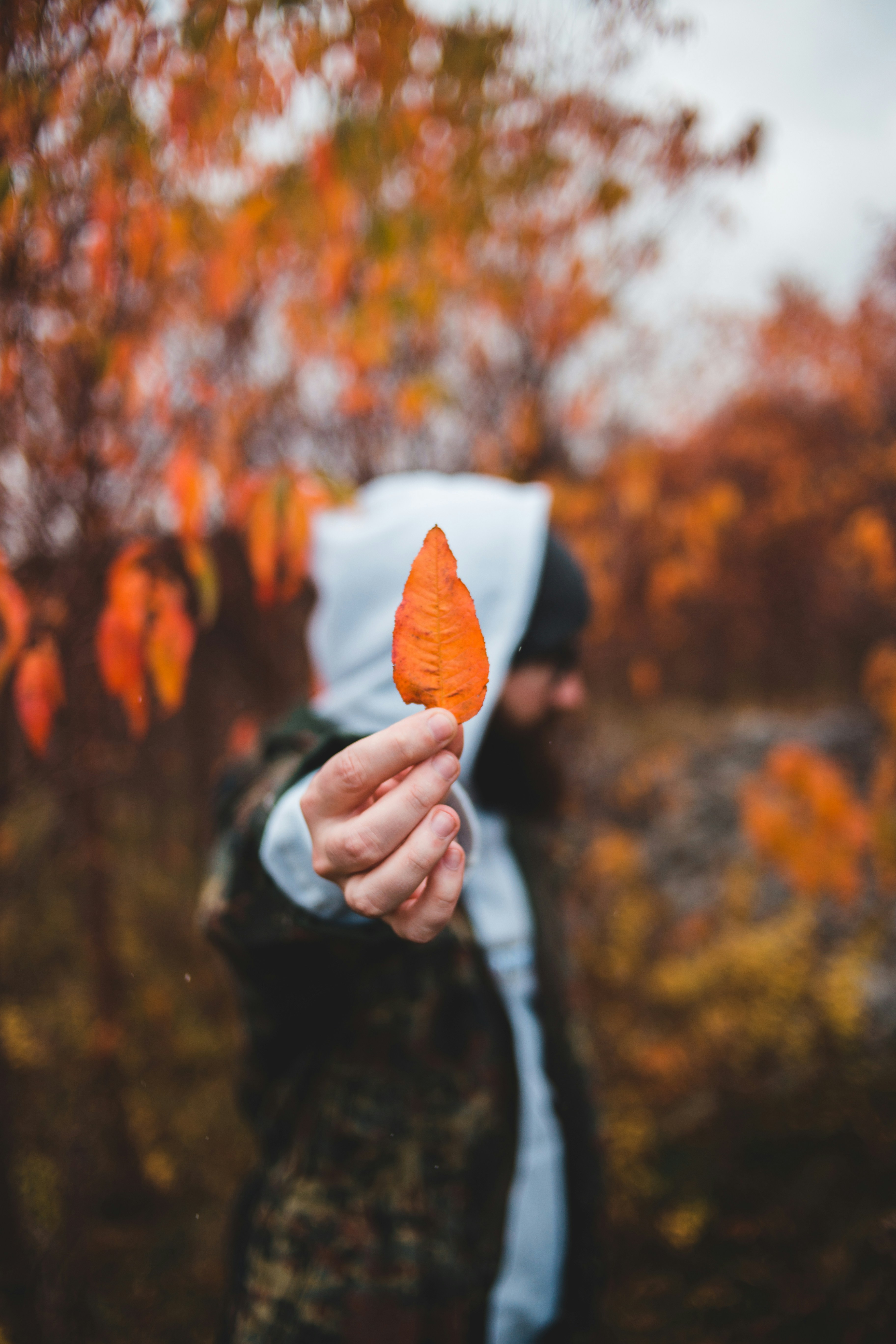 Photo by introspectivedsgn